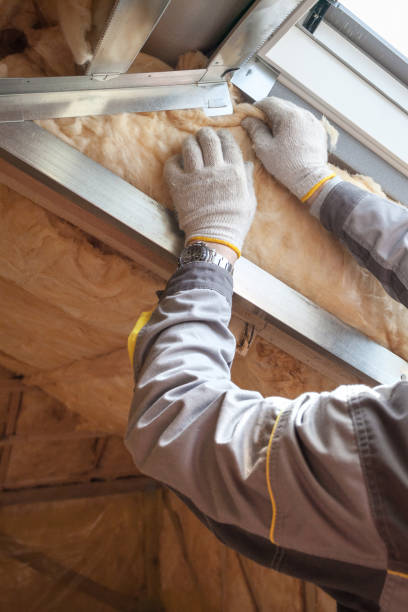 Best Types of Insulation in Rogers, MN