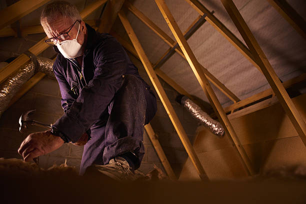 Best Specialty Insulation in Rogers, MN
